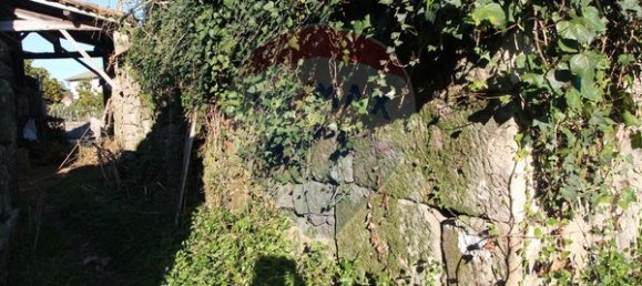 3 bedrooms House in Viseu, Portugal No. 176914 9