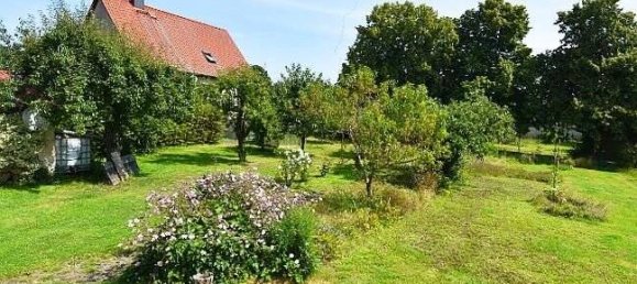 Таунхаус с 5 комнатами в Stendal, Германия № 133293 5