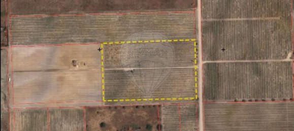 Terreno en Palmela, Portugal 14250 m² No. 63447 7