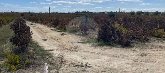 Terreno en Palmela, Portugal 14250 m² No. 63447 3