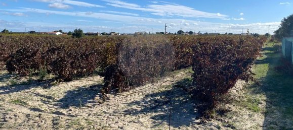 Terreno en Palmela, Portugal 14250 m² No. 63447 2