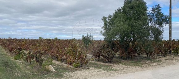 Terreno en Palmela, Portugal 14250 m² No. 63447 4