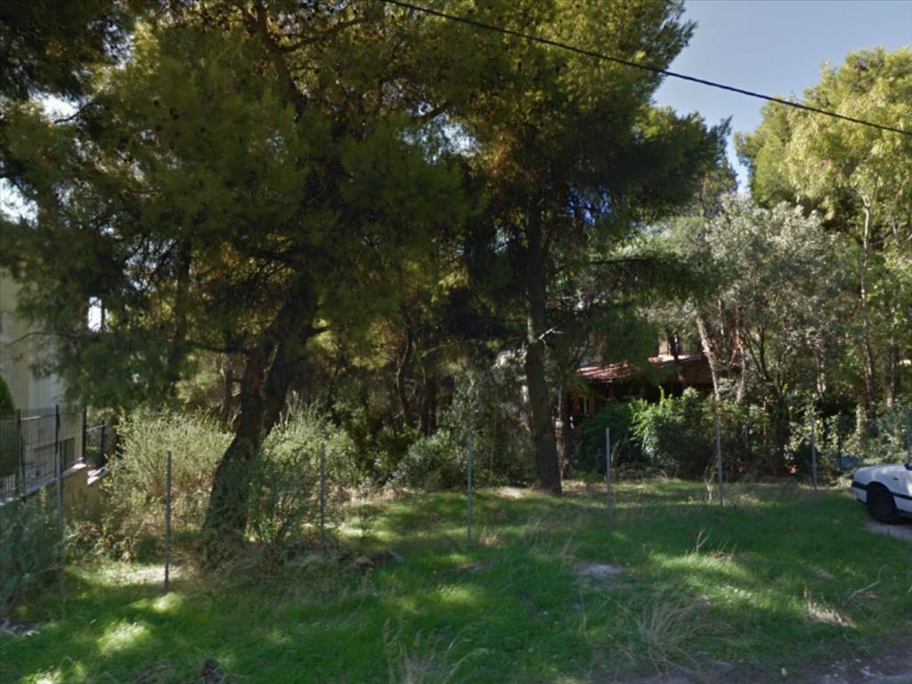 Отель, гостиница 1012м² в Ахарне, Греция № 6462