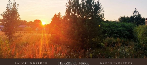 Terrain à Ostprignitz-Ruppin, Germany No. 58769 2