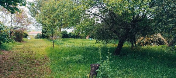  قطعة أرض في Casciana Terme Lari, Italy 993متر مربع رقم 149158 7