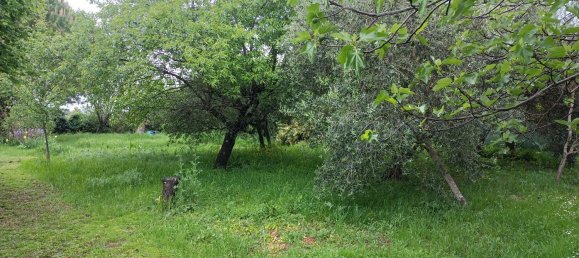  قطعة أرض في Casciana Terme Lari, Italy 993متر مربع رقم 149158 10