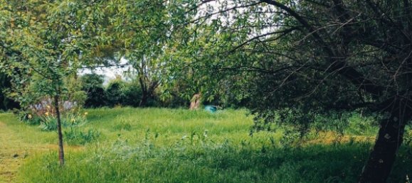  قطعة أرض في Casciana Terme Lari, Italy 993متر مربع رقم 149158 2