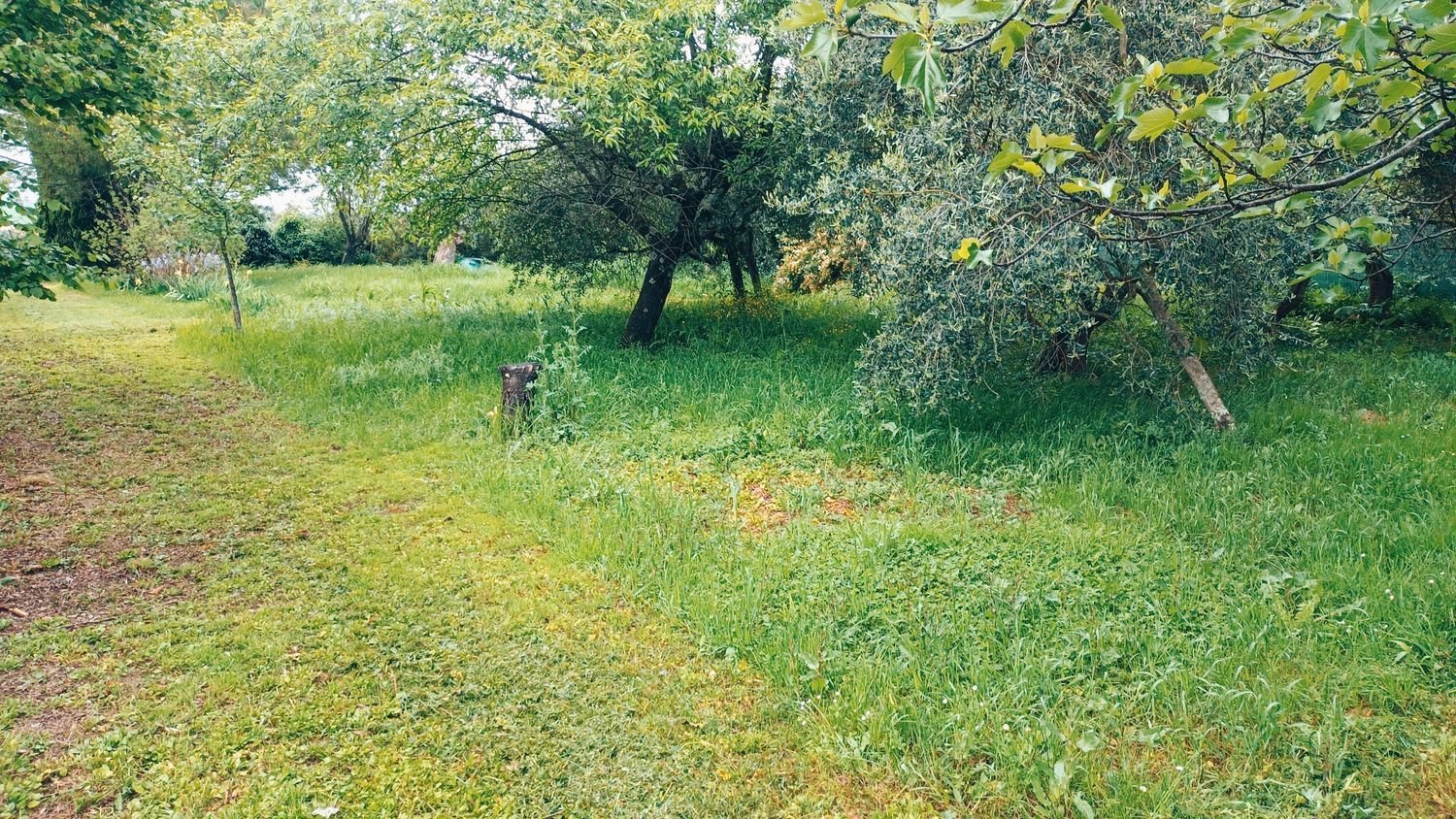  قطعة أرض في Casciana Terme Lari, Italy 993متر مربع رقم 149158