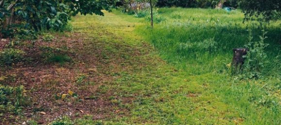  قطعة أرض في Casciana Terme Lari, Italy 993متر مربع رقم 149158 14