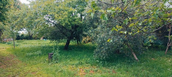  قطعة أرض في Casciana Terme Lari, Italy 993متر مربع رقم 149158 8