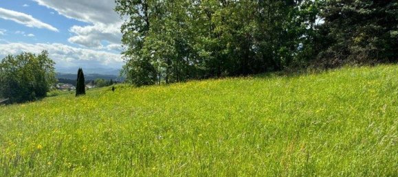 Земельный участок 900м² в Занкт Мария-Карльсбах, Австрия № 42463 5