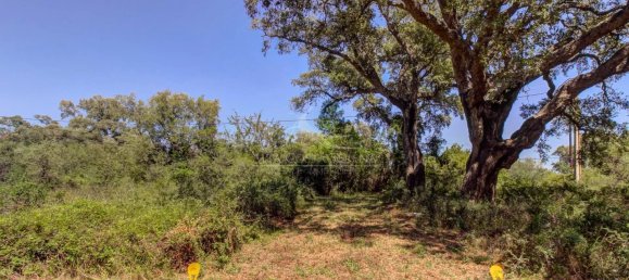  قطعة أرض في Serra-di-Fiumorbo, France رقم 219769 3