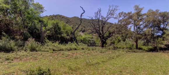  قطعة أرض في Serra-di-Fiumorbo, France رقم 219769 4