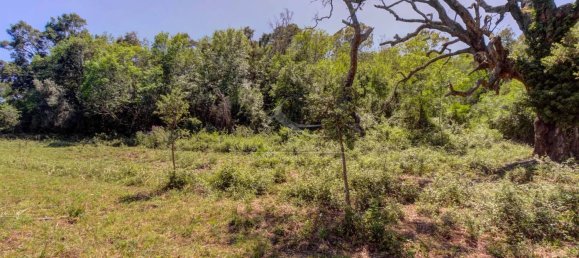  قطعة أرض في Serra-di-Fiumorbo, France رقم 219769 2