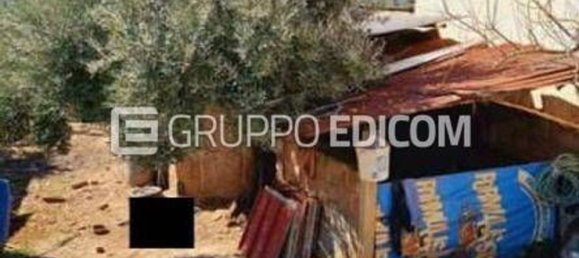 1661m² Land in Feroleto Antico, Italy No. 358283 19