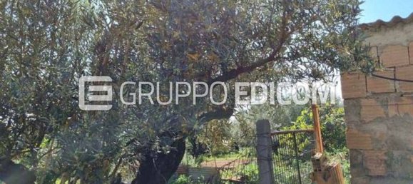 1661m² Land in Feroleto Antico, Italy No. 358283 5