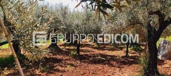 1661m² Land in Feroleto Antico, Italy No. 358283 4
