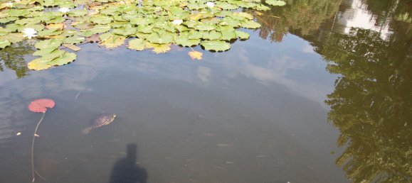 3غرفة شقة في Lower Saxony, Germany رقم 326168 8