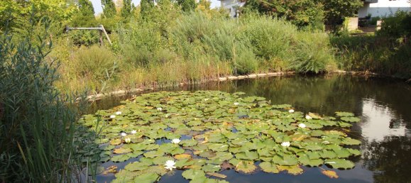 3غرفة شقة في Lower Saxony, Germany رقم 326168 7