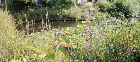 3غرفة شقة في Lower Saxony, Germany رقم 326168 6