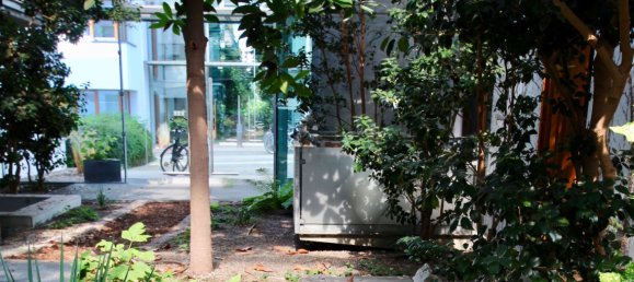 3غرفة شقة في Lower Saxony, Germany رقم 326168 42