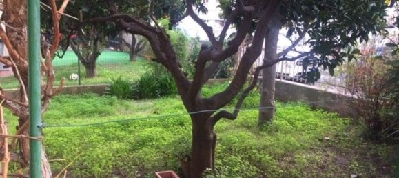 6 chambres Villa à Castagneto Carducci, Italy No. 345674 13