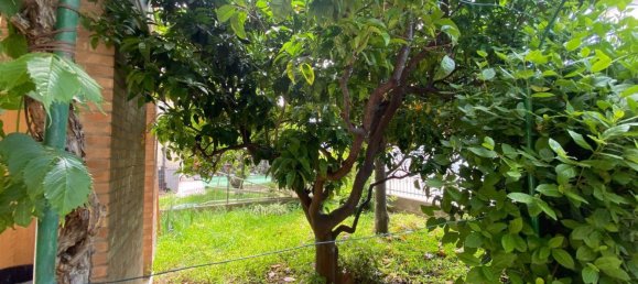 6 chambres Villa à Castagneto Carducci, Italy No. 345674 14