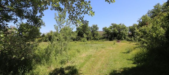 13-Zimmer Haus in Sovicille, Italy, Nr. 85584 12