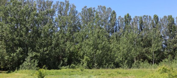 13-Zimmer Haus in Sovicille, Italy, Nr. 85584 14