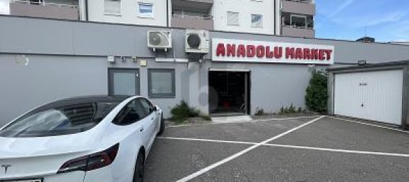 Propiedad comercial de 5 habitaciónes en Lorrach, Germany No. 294551 2