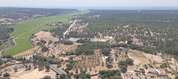 قطعة أرض في Grandola, Portugal 4709متر مربع رقم 296546 10