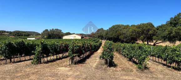 1 Schlafzimmer Haus in Berchidda, Italy, Nr. 66635 6