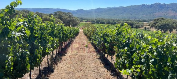 1 Schlafzimmer Haus in Berchidda, Italy, Nr. 66635 4