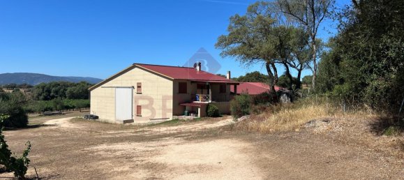 1 Schlafzimmer Haus in Berchidda, Italy, Nr. 66635 2
