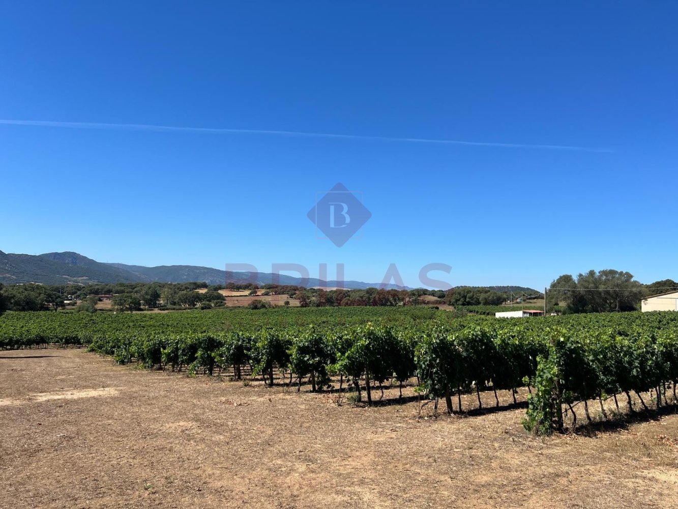 1 Schlafzimmer Haus in Berchidda, Italy, Nr. 66635