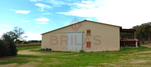 1 Schlafzimmer Haus in Berchidda, Italy, Nr. 66635 3