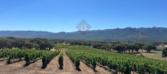 1 Schlafzimmer Haus in Berchidda, Italy, Nr. 66635 14