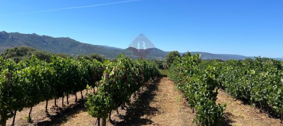 1 Schlafzimmer Haus in Berchidda, Italy, Nr. 66635 5