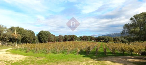 1 Schlafzimmer Haus in Berchidda, Italy, Nr. 66635 20