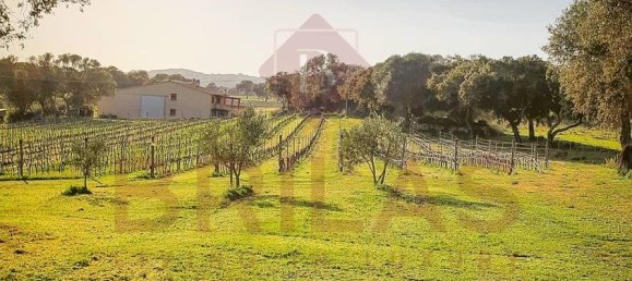 1 Schlafzimmer Haus in Berchidda, Italy, Nr. 66635 18