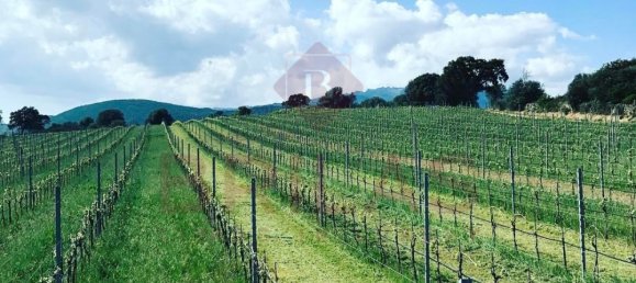 1 Schlafzimmer Haus in Berchidda, Italy, Nr. 66635 19