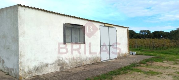 1 Schlafzimmer Haus in Berchidda, Italy, Nr. 66635 7