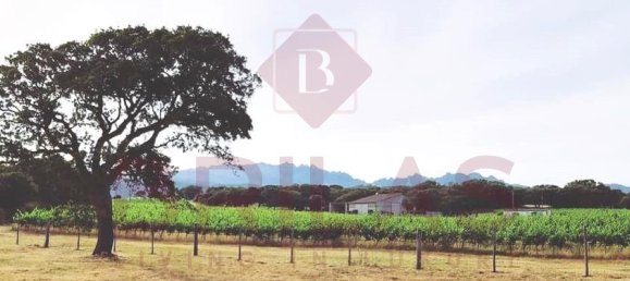 1 Schlafzimmer Haus in Berchidda, Italy, Nr. 66635 15