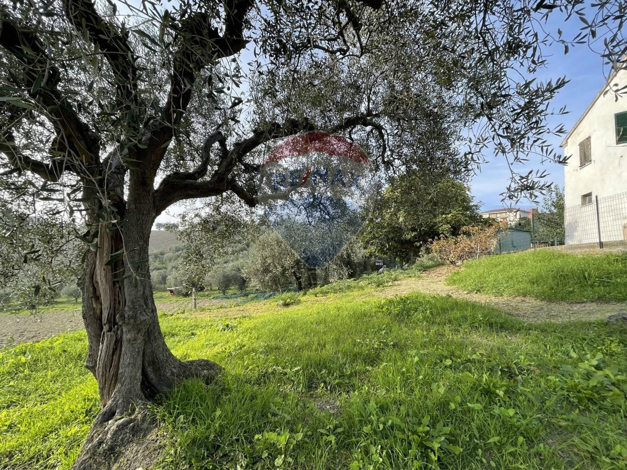 Casa de 6 habitaciónes en Belvedere Ostrense, Italy No. 2252
