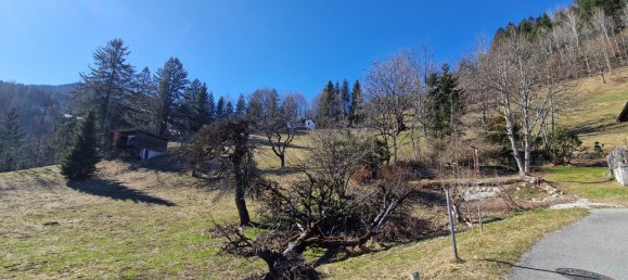 Land in Burserberg, Austria No. 88386 2