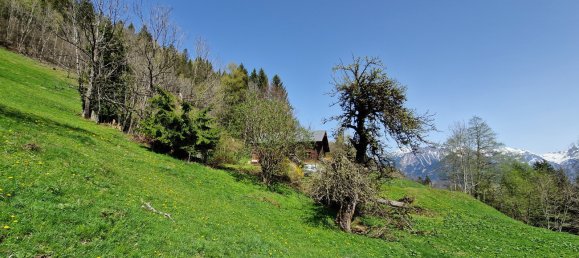 Land in Burserberg, Austria No. 88386 3