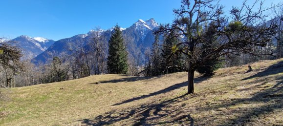 Land in Burserberg, Austria No. 88386 5