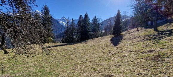 Land in Burserberg, Austria No. 88386 4