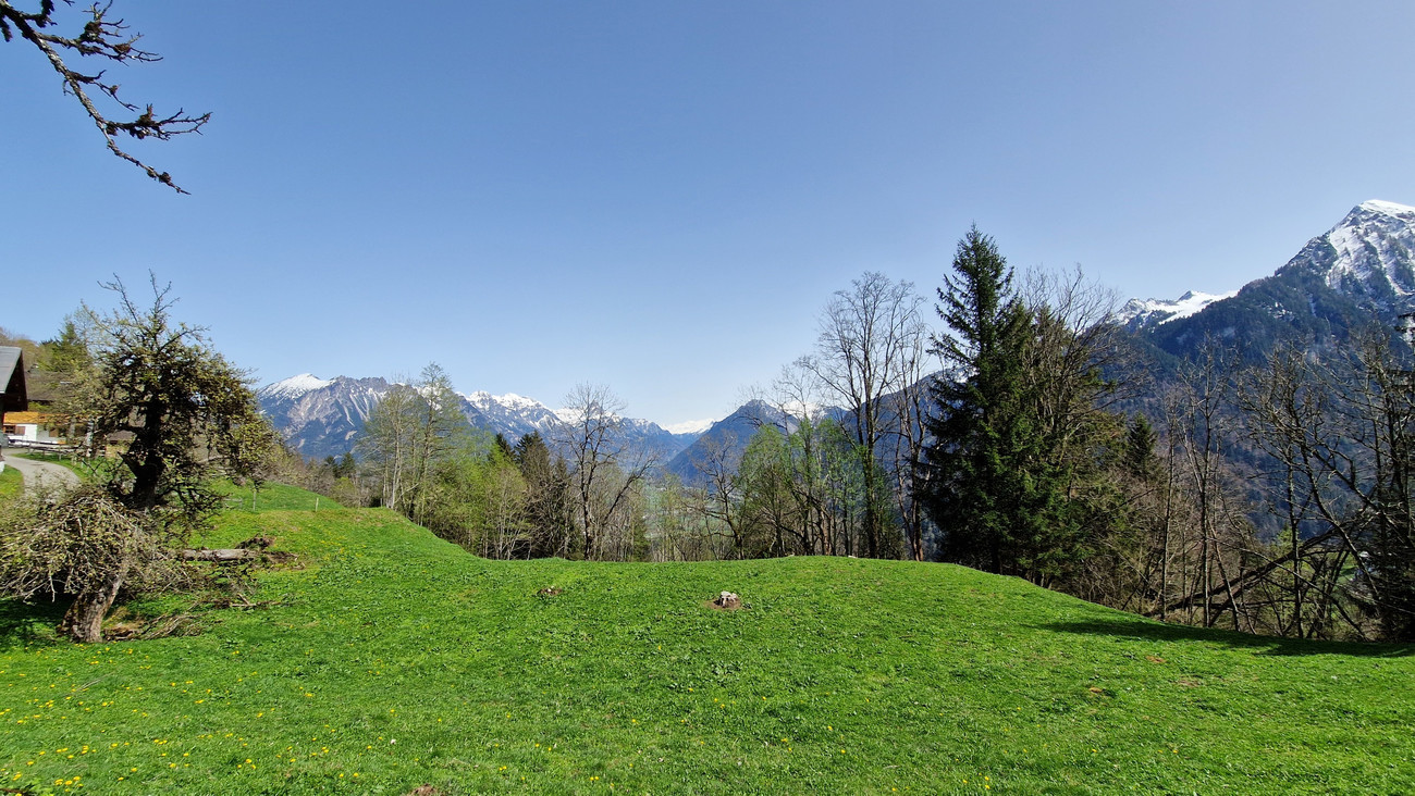  Land in Burserberg, Austria No. 88386