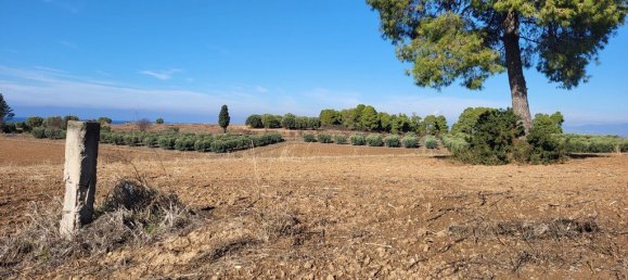  قطعة أرض في Chalkidiki, Greece 13600متر مربع رقم 93962 2